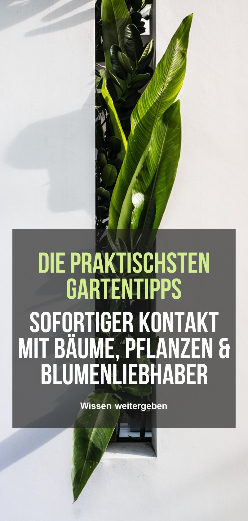 Tipps & Tricks von Gärtnern