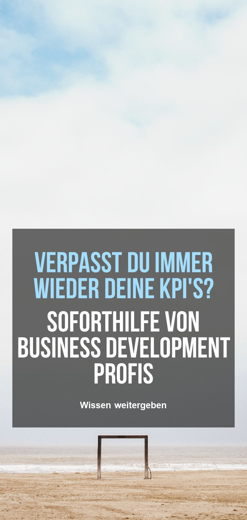 Business Development Berater