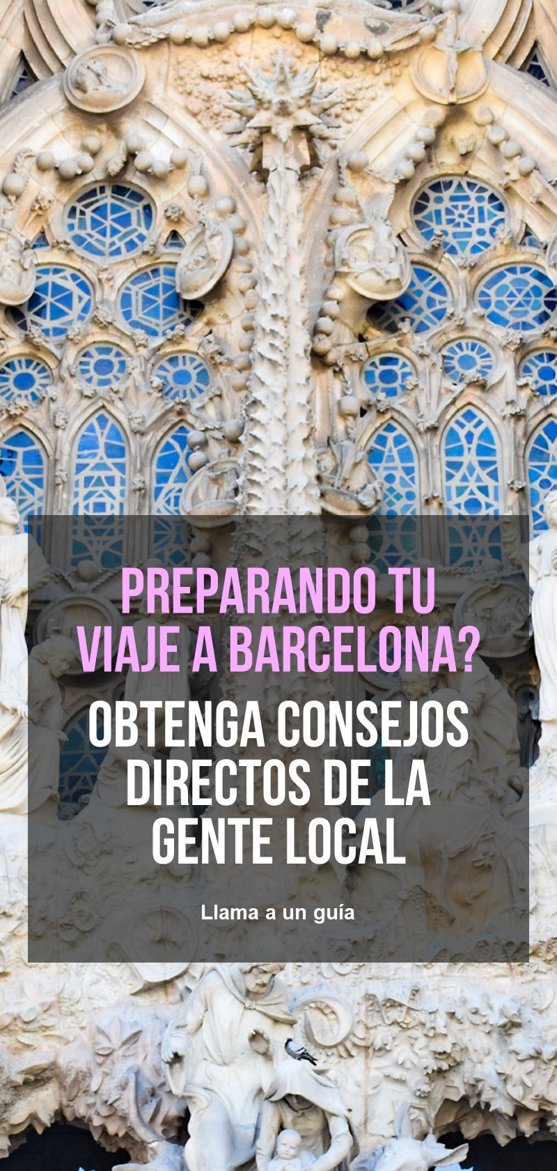 Guías locales en Barcelona