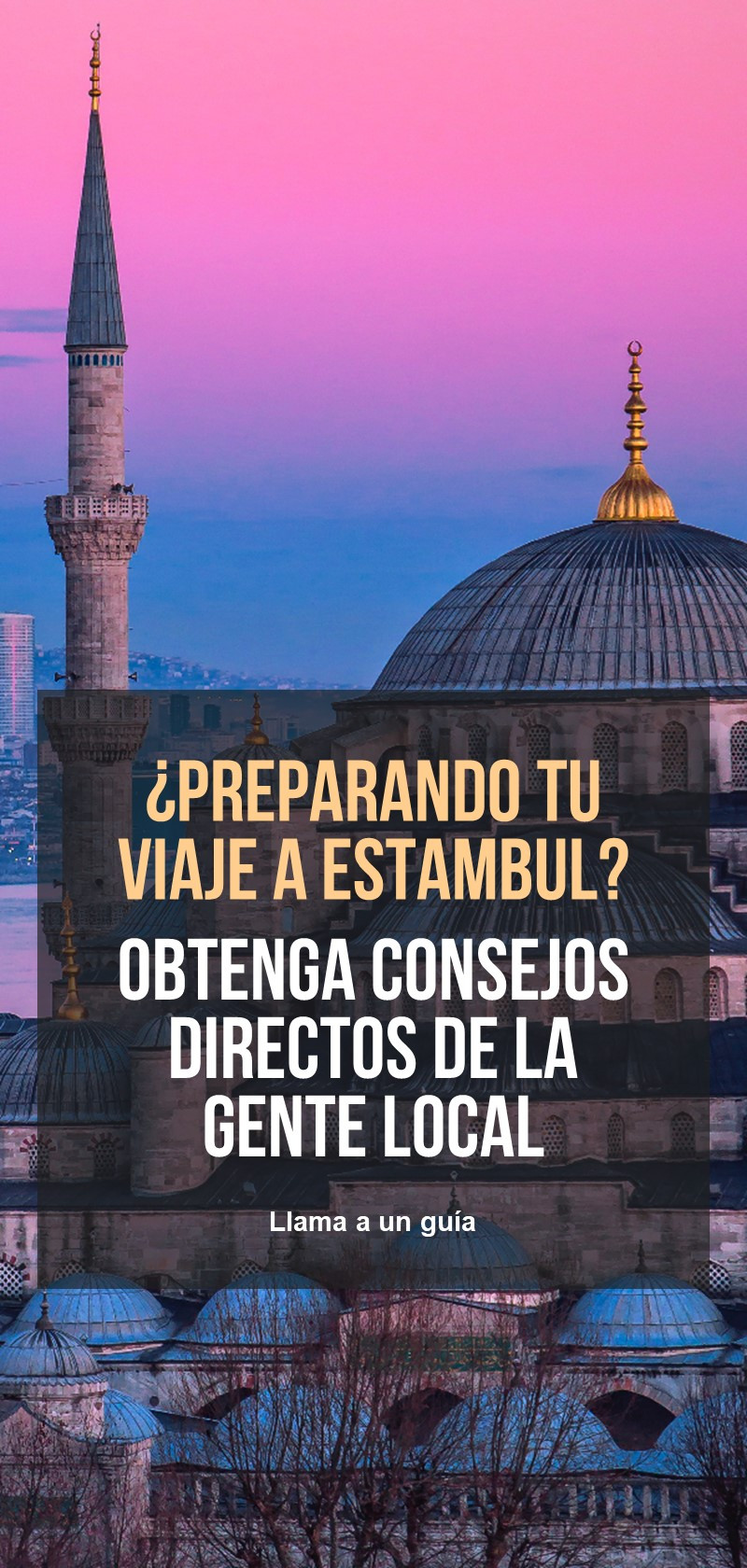 Guías locales en Estambul