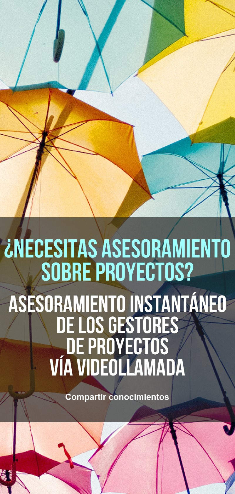 Habilidades de gestión de proyectos