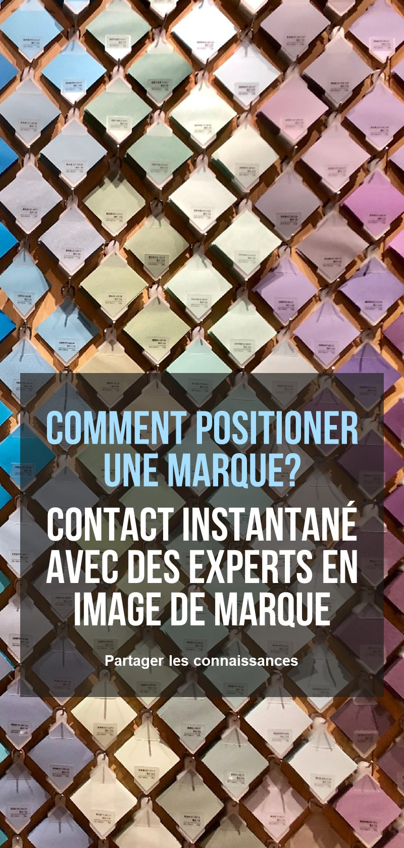 Conseils et stratégie de positionnement de la marque