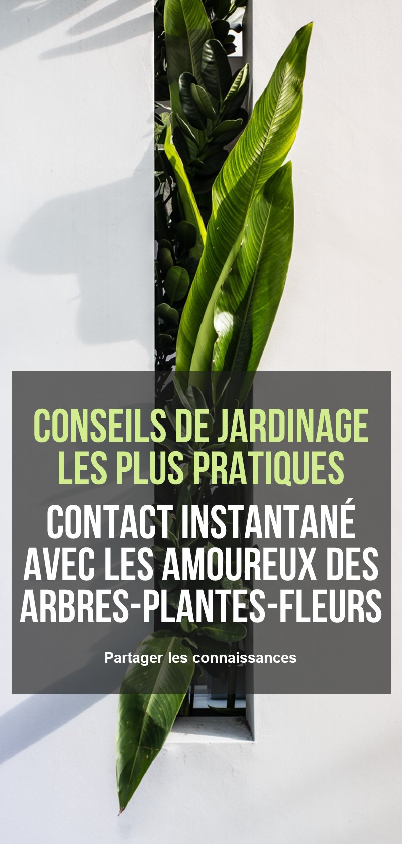 Conseils et astuces des jardiniers