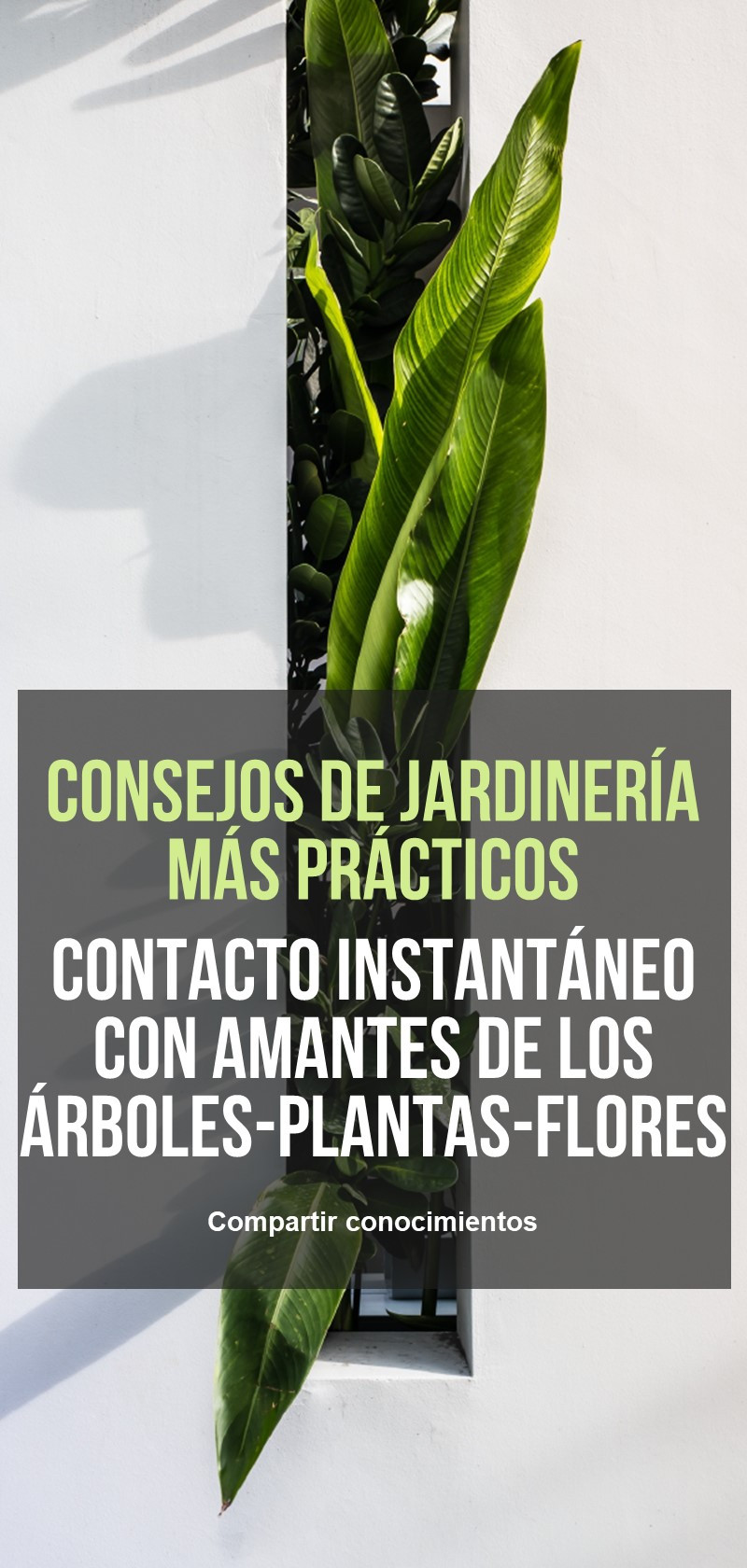 Consejos y trucos de los jardineros