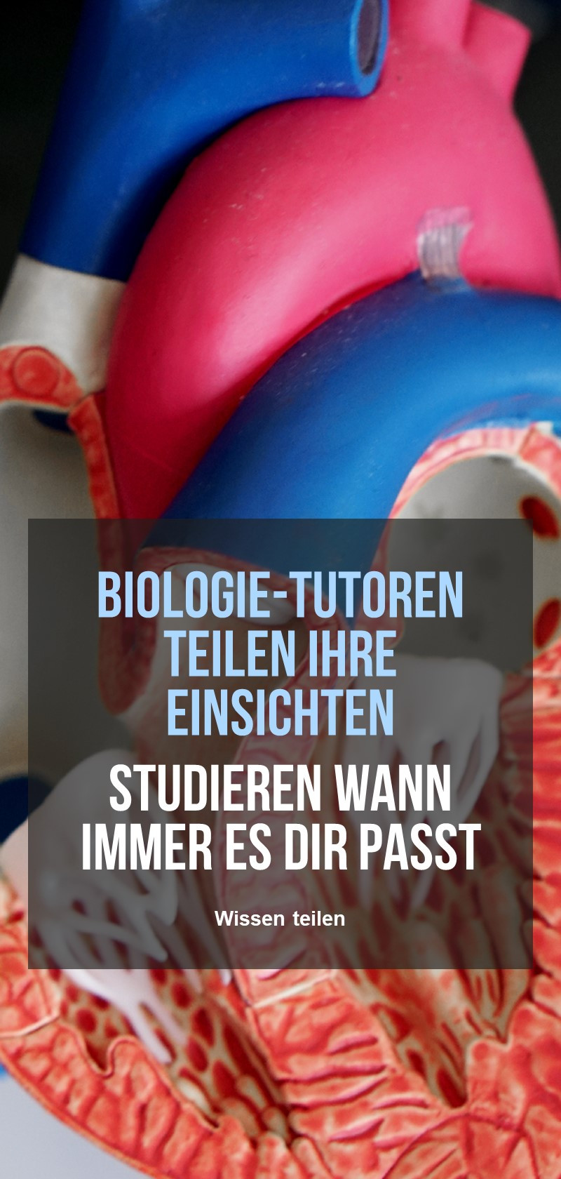 Lehrernachhilfe in Biologie