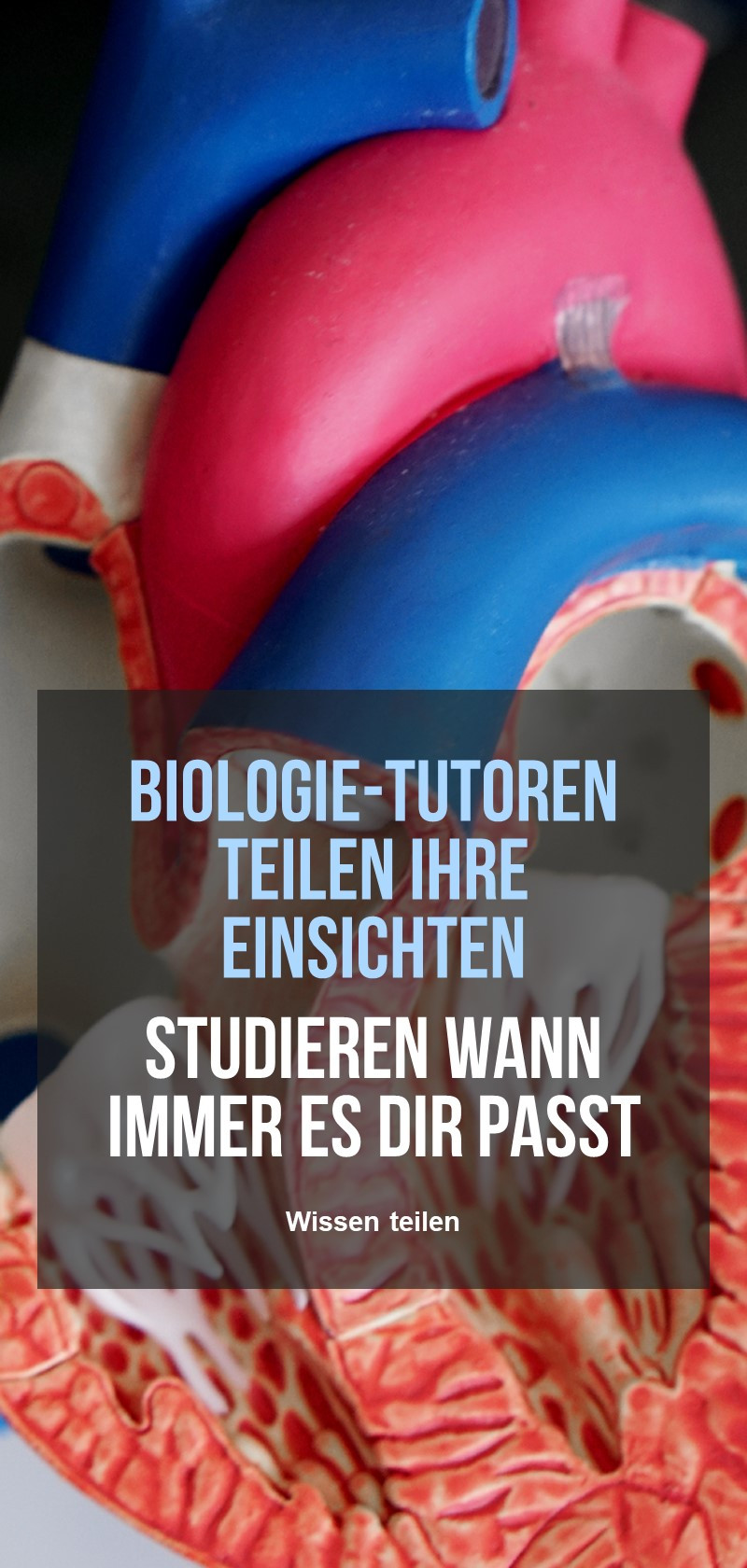 Lehrernachhilfe in Biologie