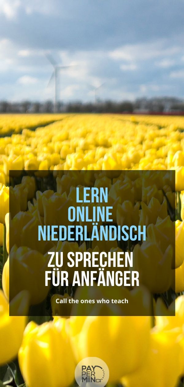 Lern online Niederländisch zu sprechen für Anfänger