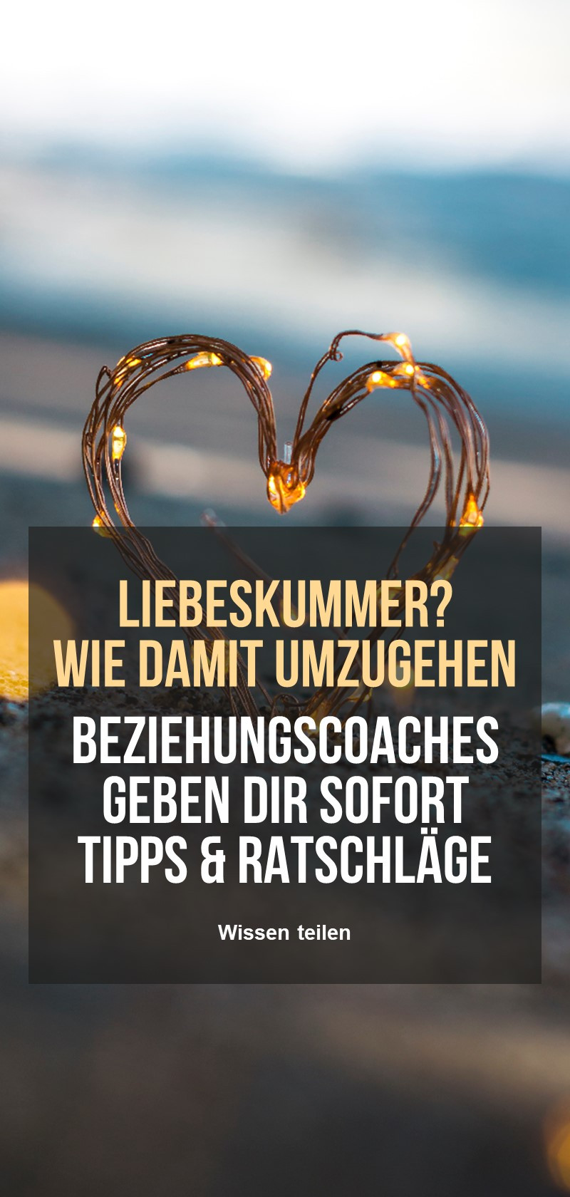 Liebeskummer Coaches 