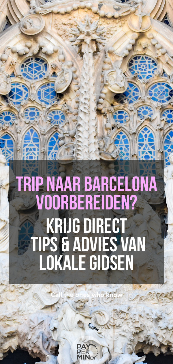 lokale-gidsen-barcelona