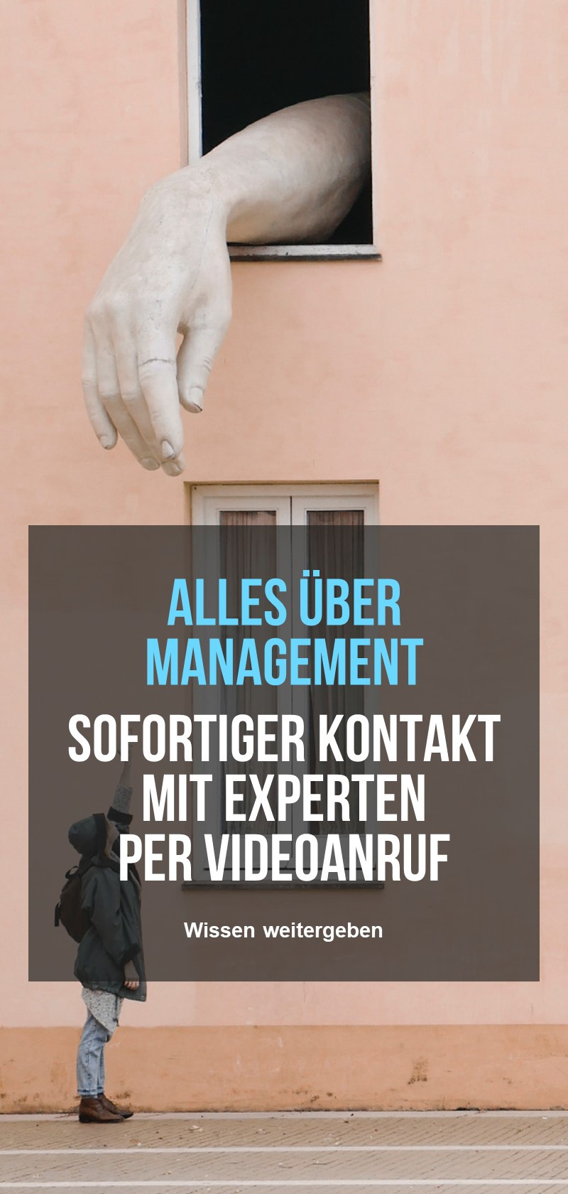 Lerne Management von echten Profis