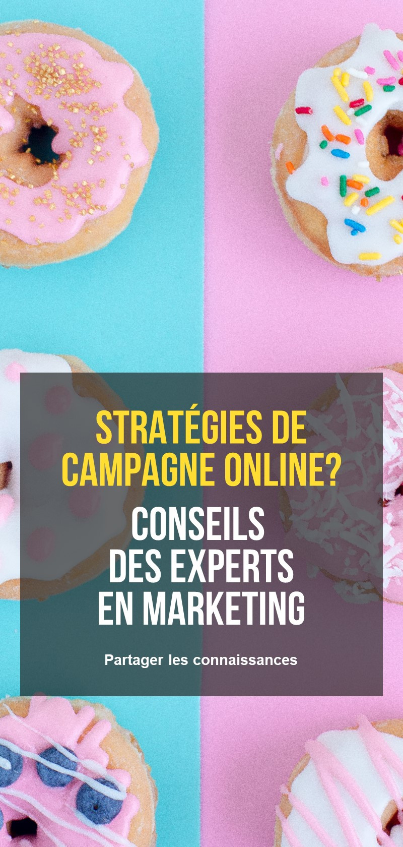 Conseils de marketing des influenceurs