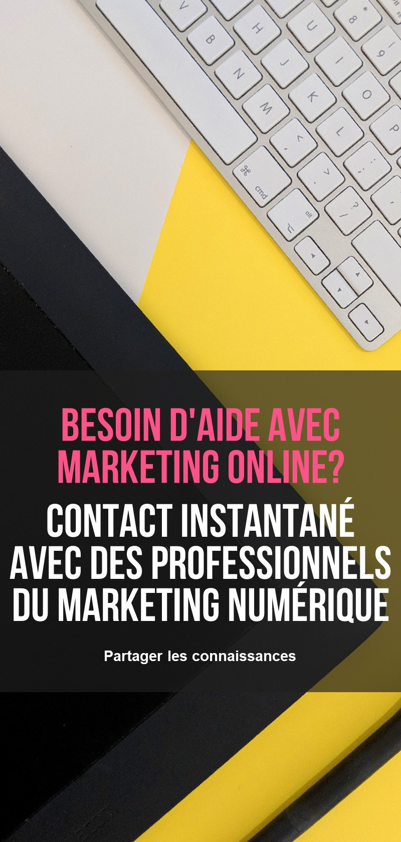 Professionnels du marketing numérique