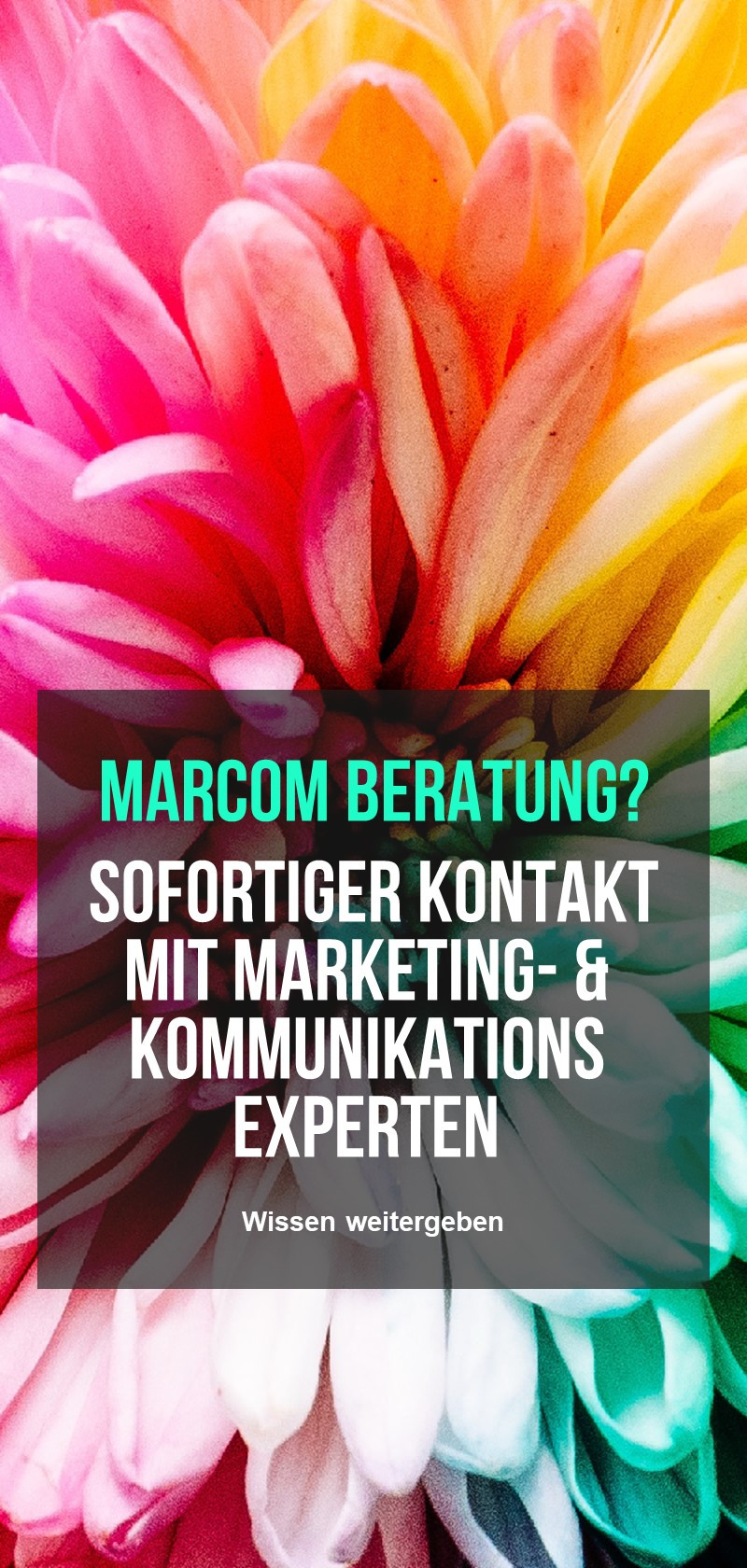 Marketing Kommunikation Strategie und Beratung