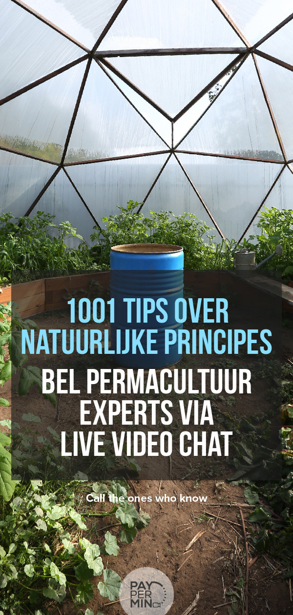 permacultuur