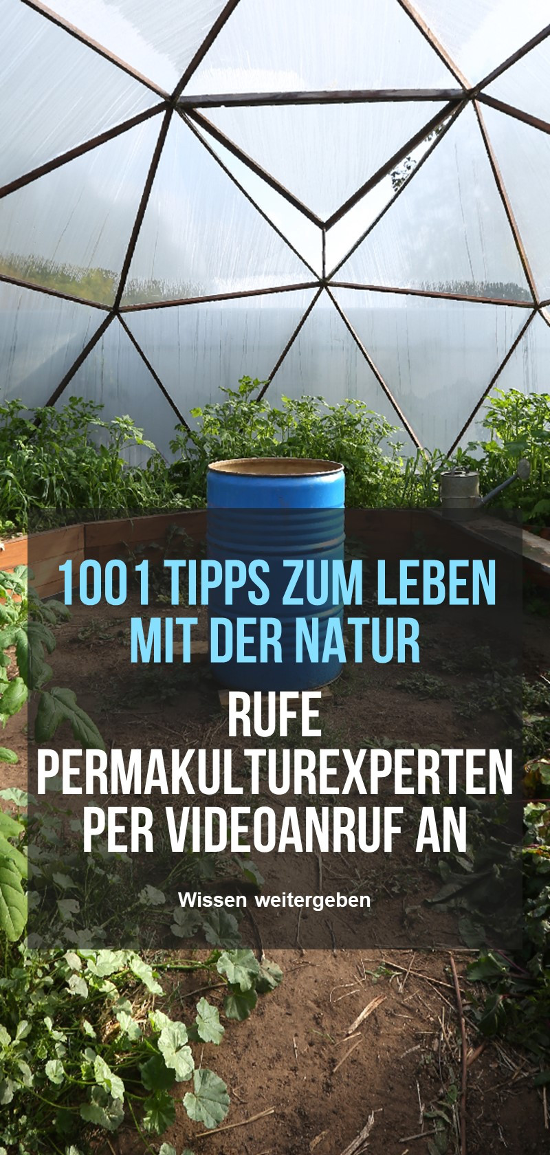 Prinzipien der Permakultur und Gartenarbeit