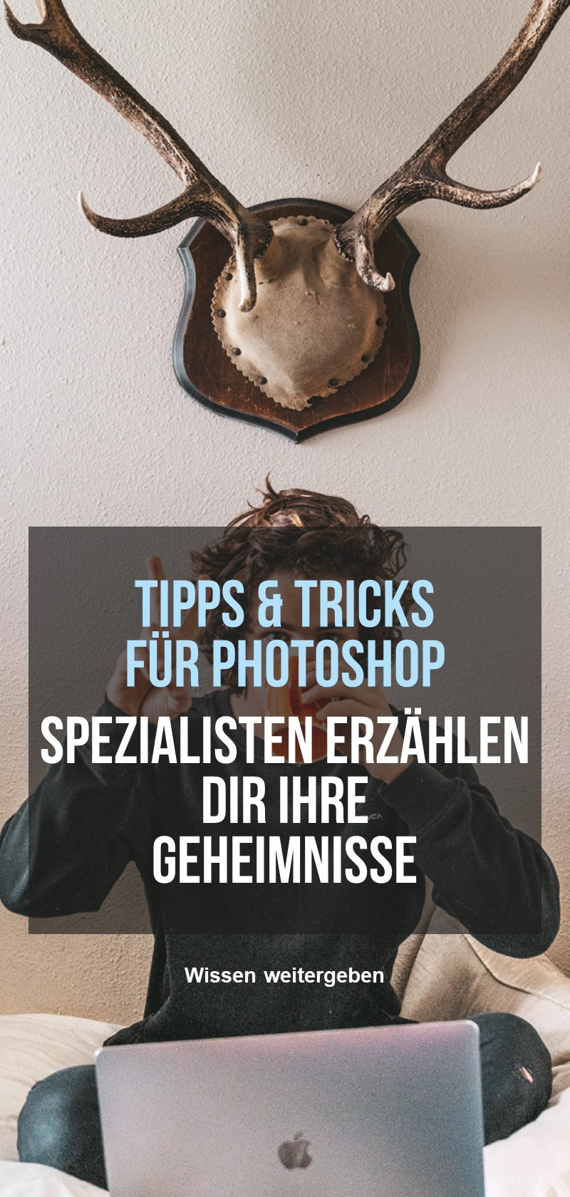 Photoshop-Tipps und Tutorials 