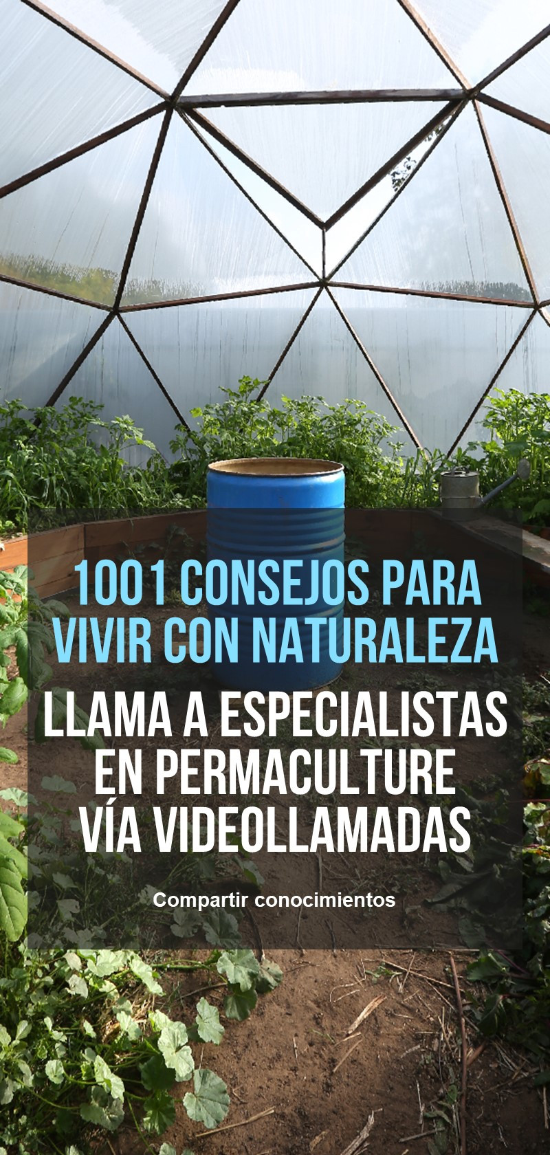 Principios de permacultura y jardinería