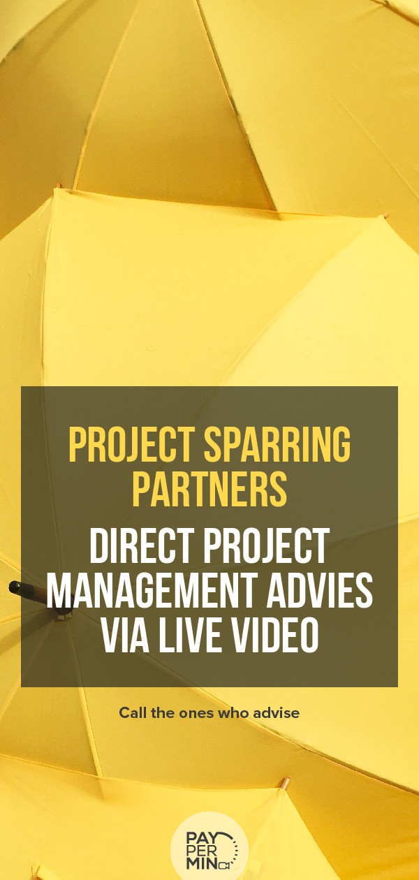 project-management-advies