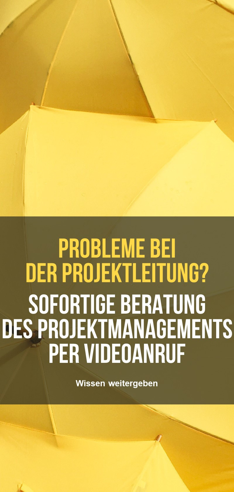 Projektmanagement Tipps und Beratung