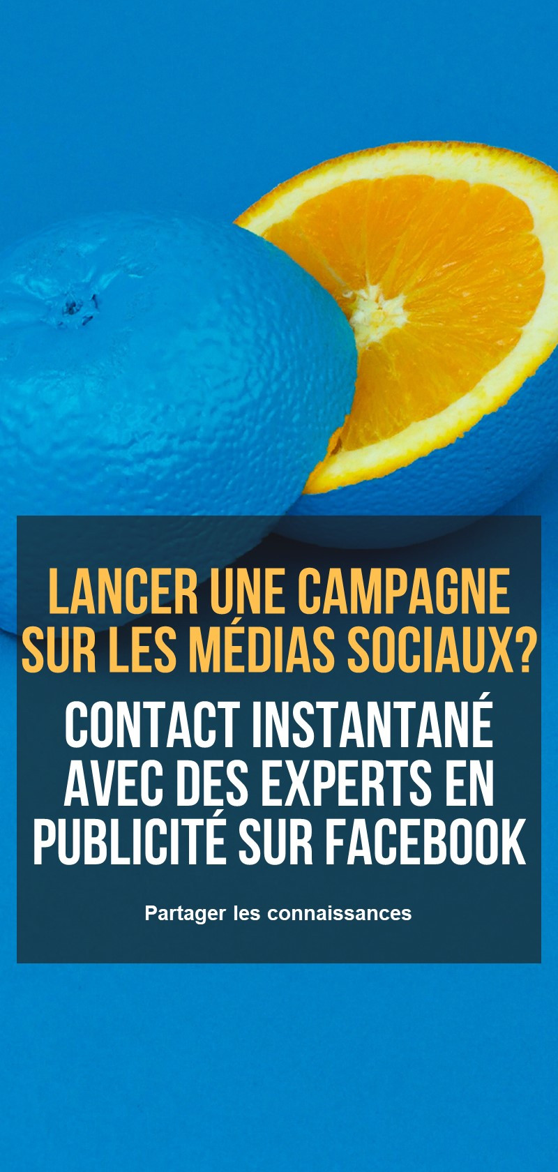 Soutien à la publicité sur Facebook