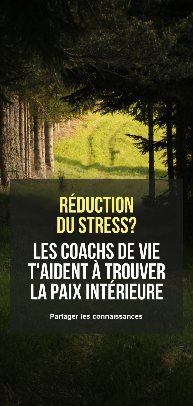 Conseils & techniques de gestion du stress