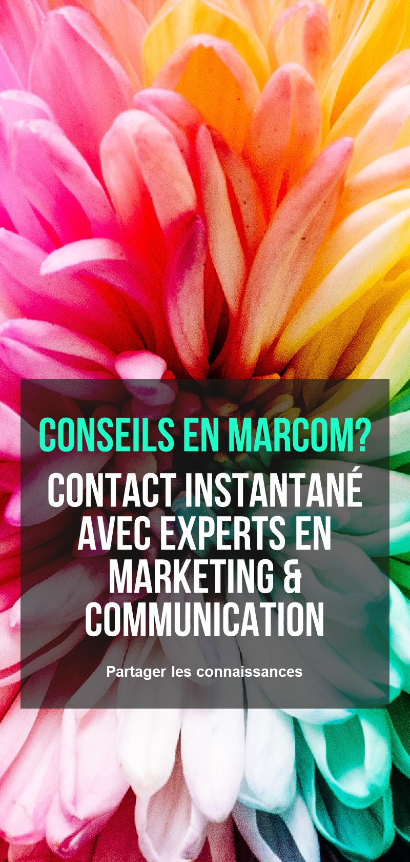 Stratégie et conseils en marketing et communication