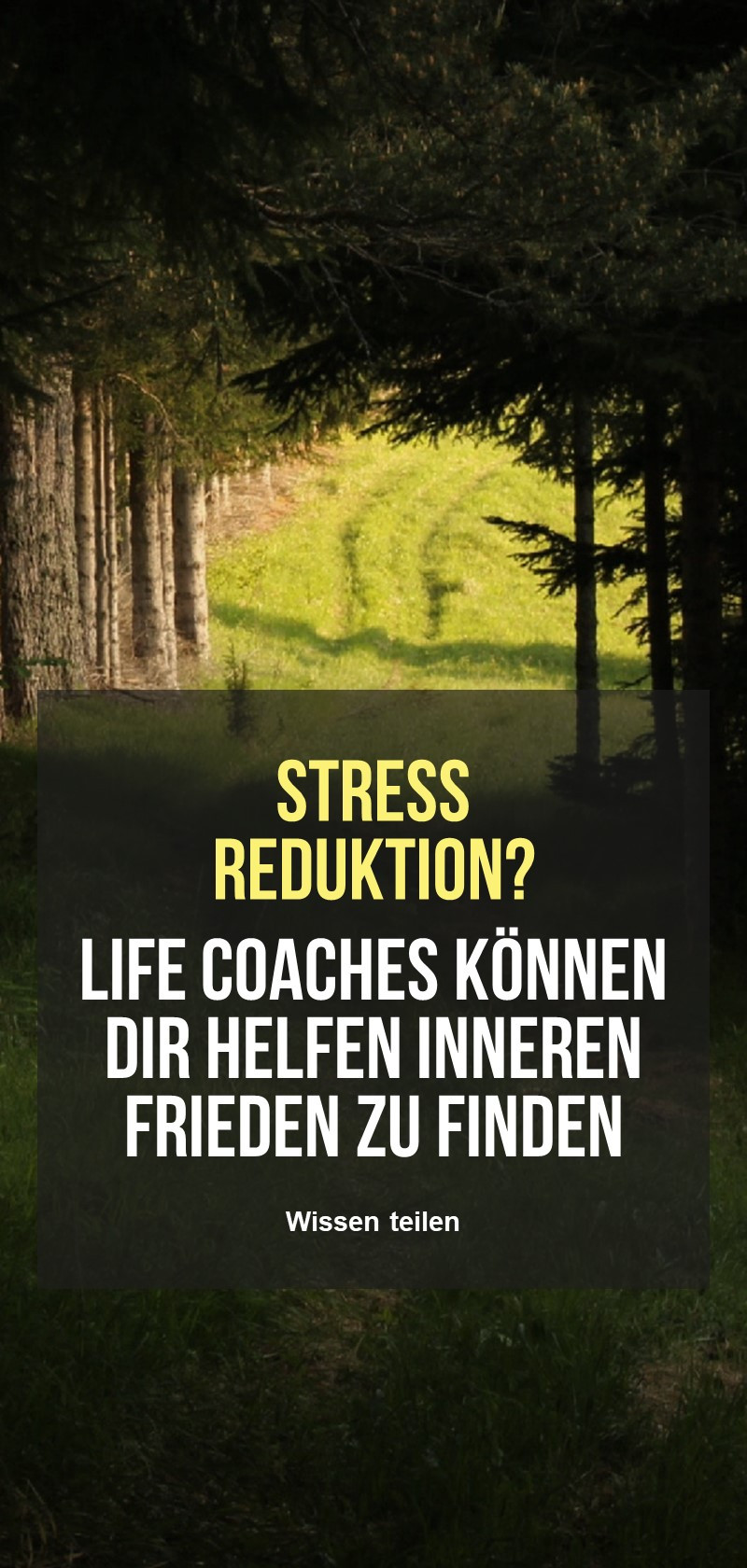 Tipps und Techniken zum Stressmanagement