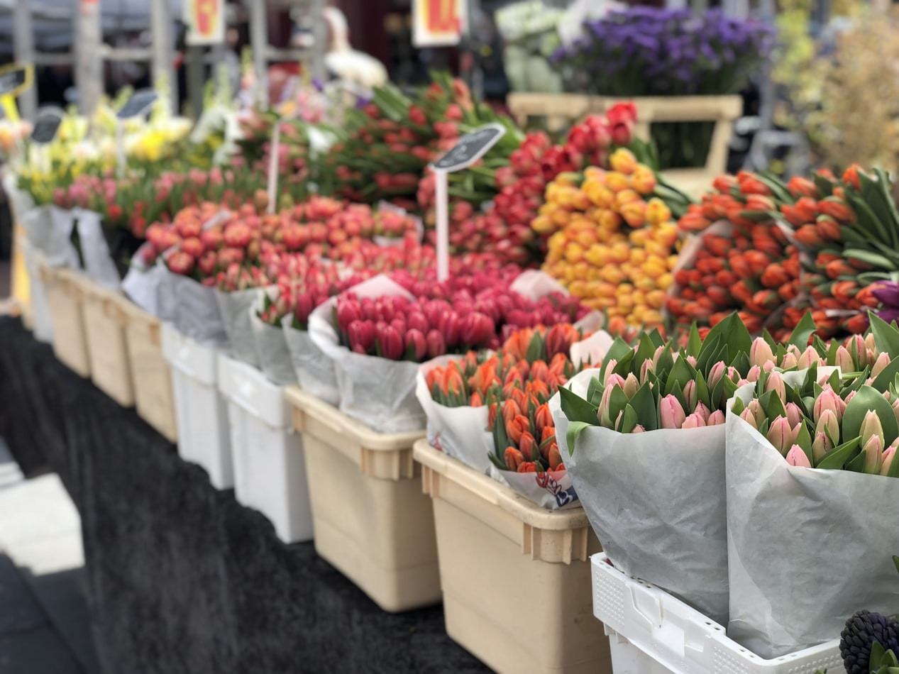 Amsterdam flower market