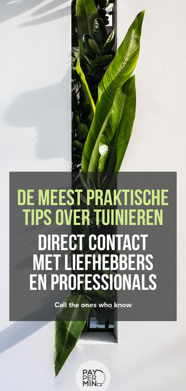 tuinieren