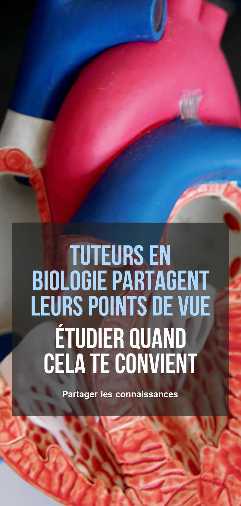 Tutorat des enseignants en biologie