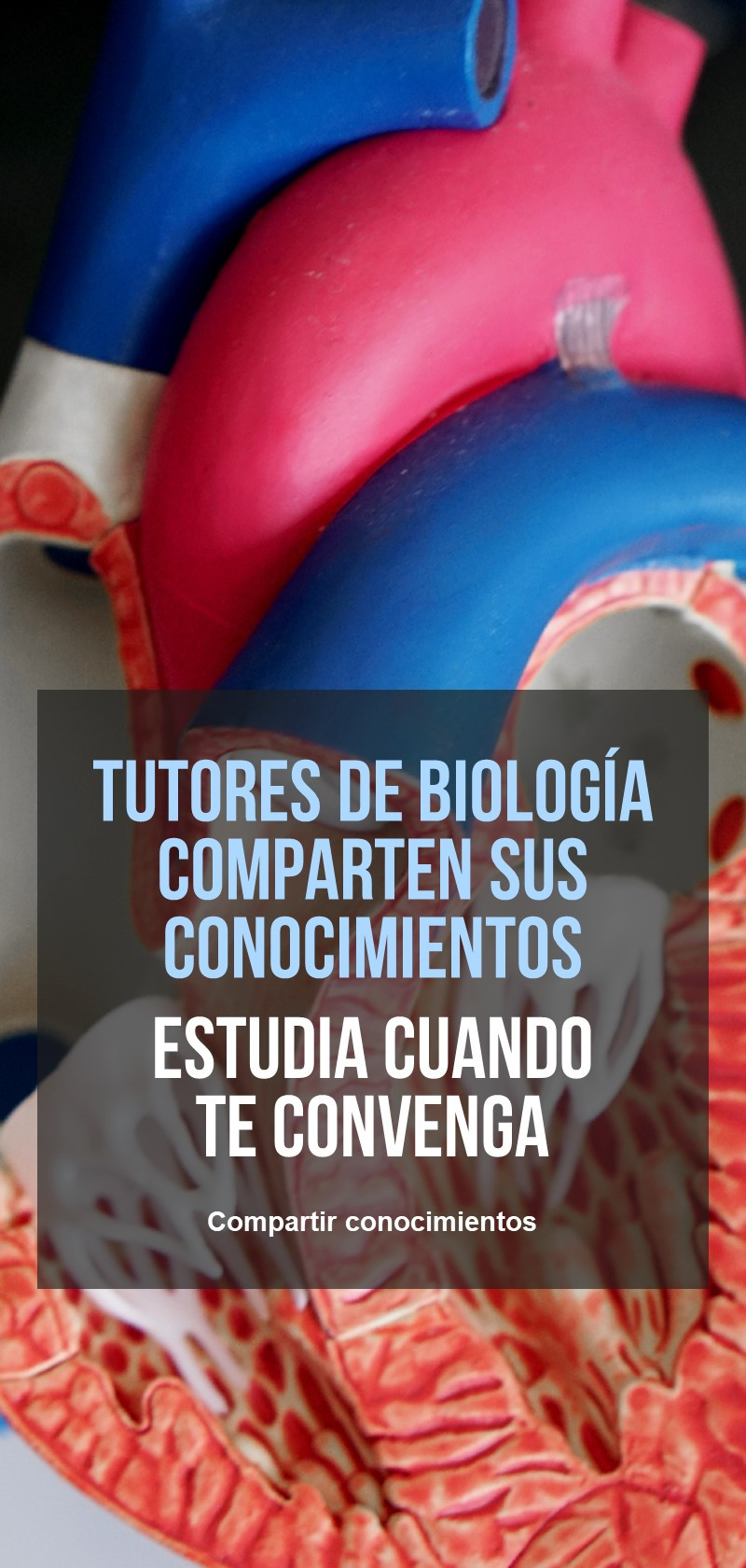 Tutoría de profesores en Biología