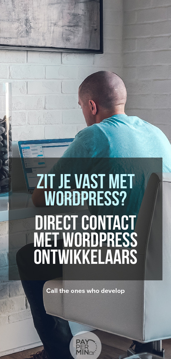 wordpress-ontwikkelaar