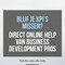 Business Development Consultants