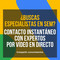 Consejos y asesoramiento SEM