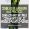 Consejos y trucos de los jardineros