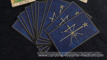 Caroline Guenette's media