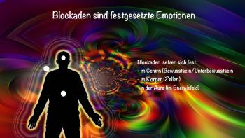 Barbara Südbeck's media