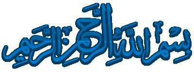 Alaa Rashwan media 34