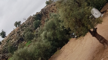 Mahmoud Al-ananzeh media 2